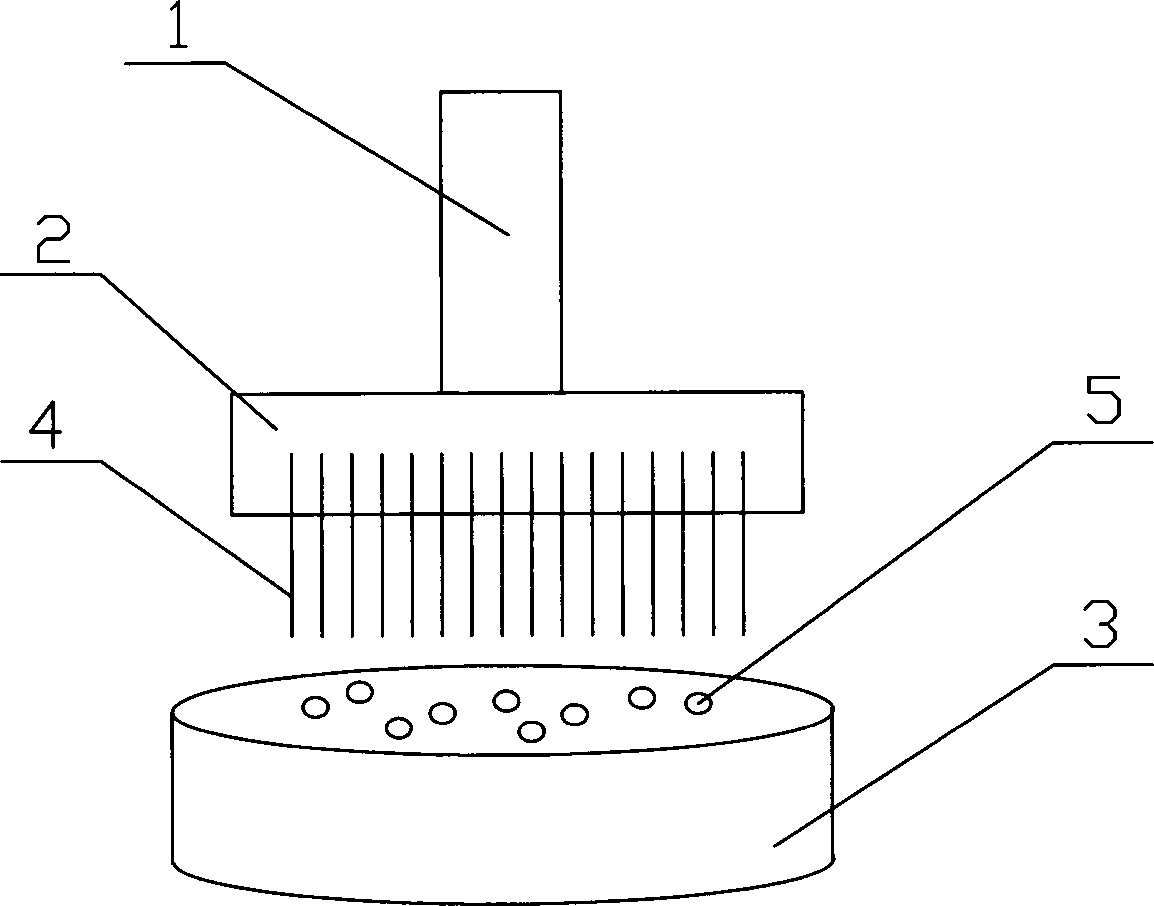 Multi-needle vibrator