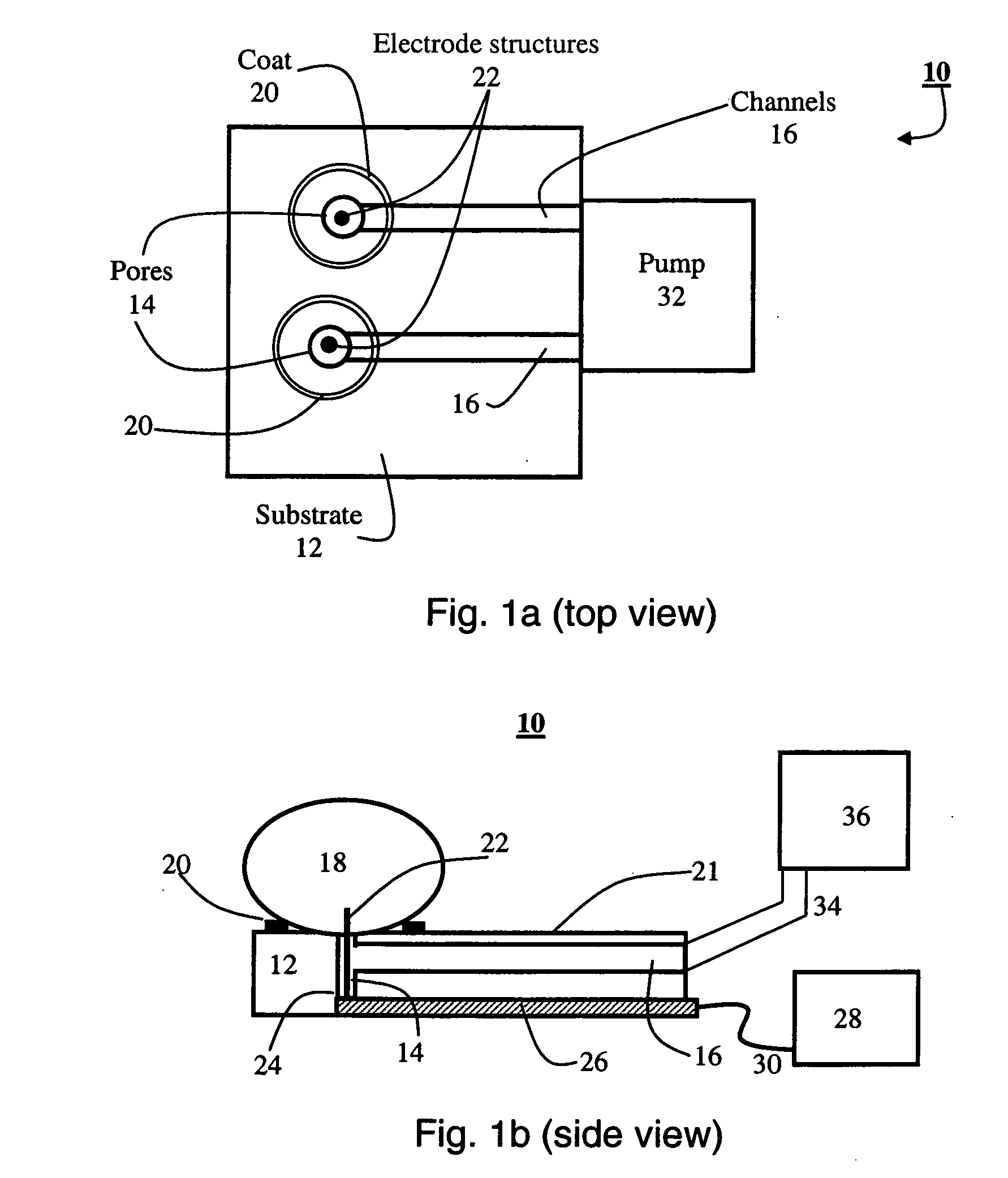 System for and method of positioning cells and determing cellular activity thereof