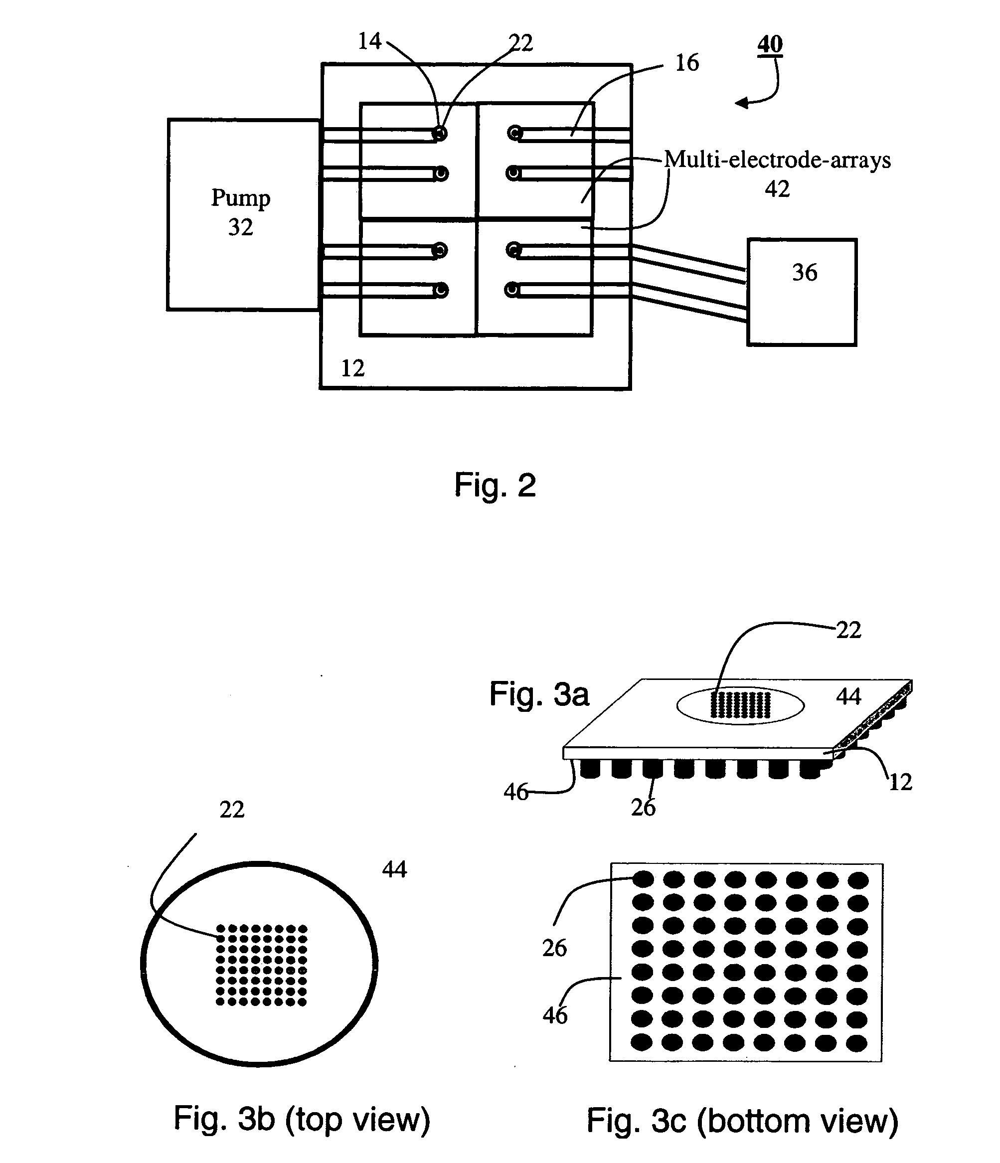 System for and method of positioning cells and determing cellular activity thereof