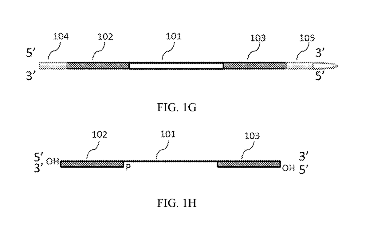 Methods of inserting molecular barcodes