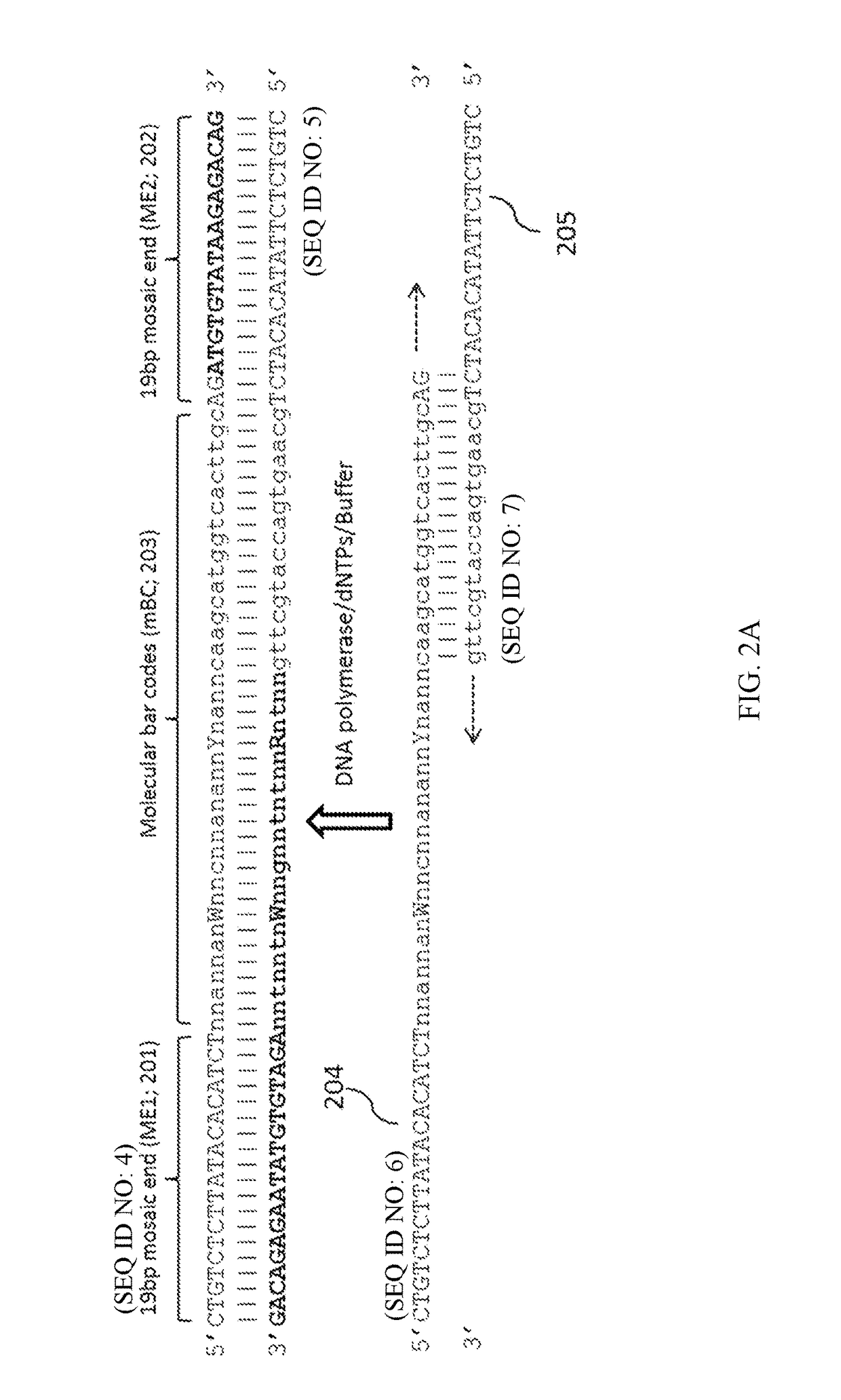 Methods of inserting molecular barcodes