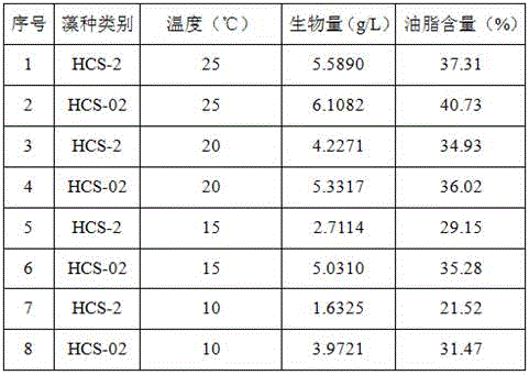 Scenedesmus sp. as well as culture method and application thereof