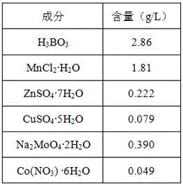 Scenedesmus sp. as well as culture method and application thereof