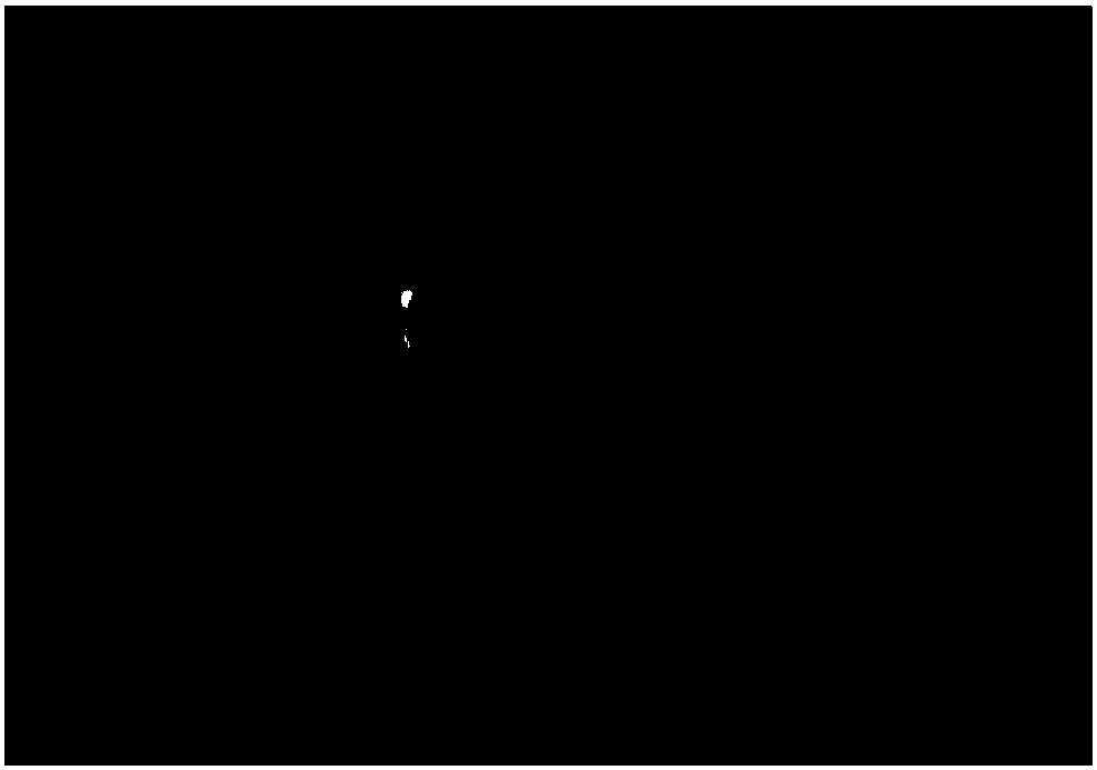 A kind of preparation method of electronic compound c12a7:e single crystal