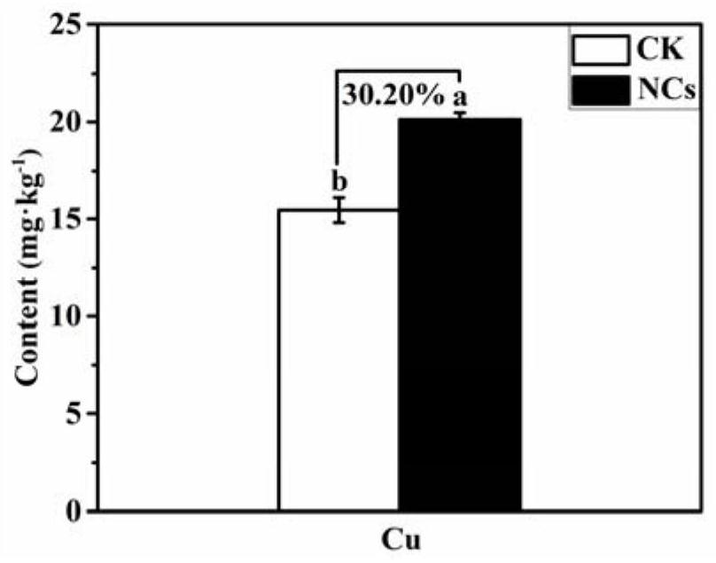 Application of copper nano-fertilizer to improvement of tomato resistance and yield