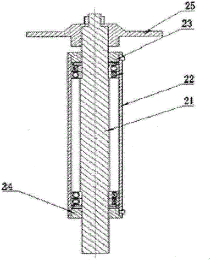 Solid phase dual-dynamic enzymolysis fermentation technology for feed raw materials