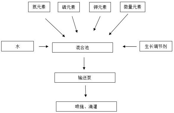 Integrated automatic quantitative sprinkling irrigation and fertilization system