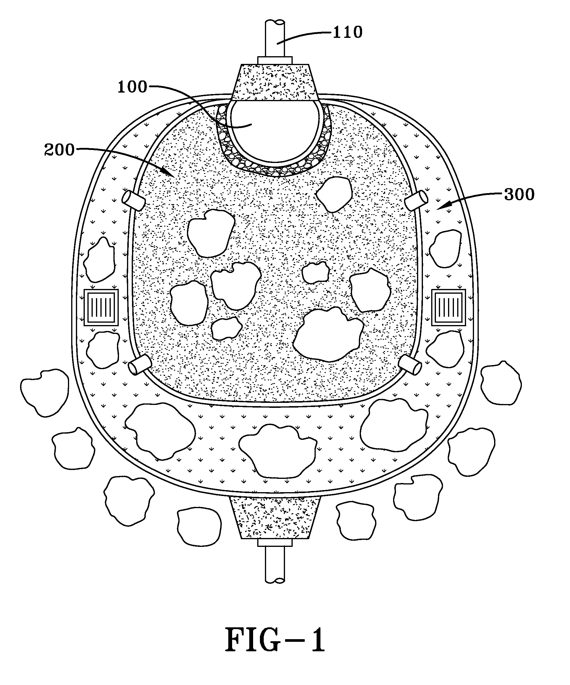 Bi-phasic bioretention system