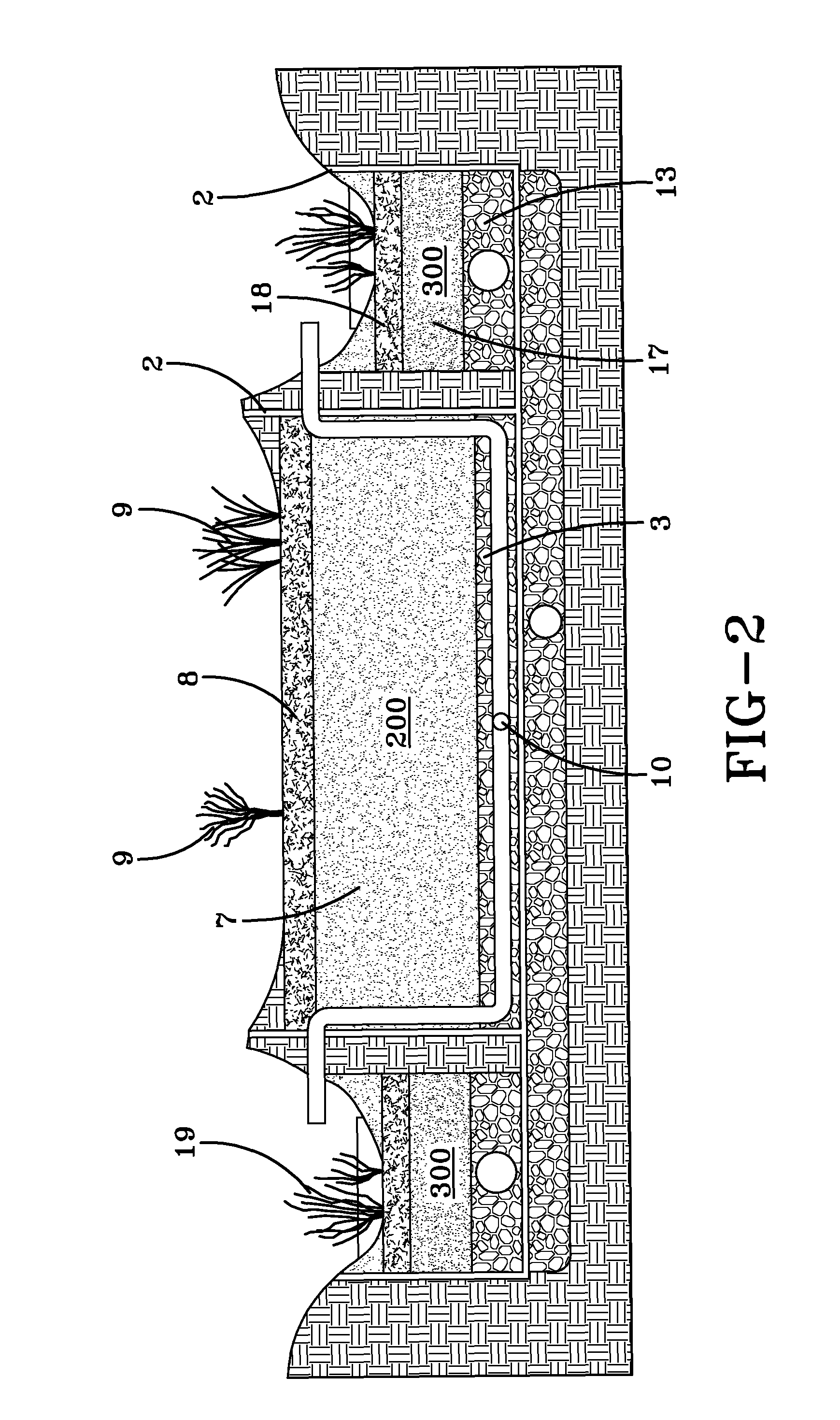 Bi-phasic bioretention system