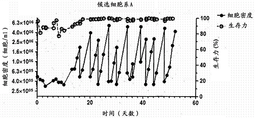 Mdck-derived cell strain suspension-cultured in protein-free medium and method for proliferating virus using cell strain