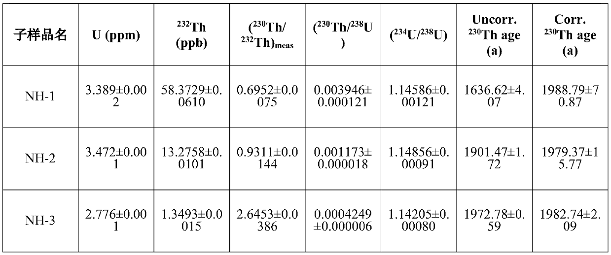 Method for efficiently separating clastic thorium in near-shore coral bones