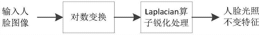 Face illumination invariant feature extraction method by utilizing logarithm transformation and Laplacian operator