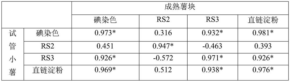 Breeding method of dual-purpose high-resistance starch potatoes