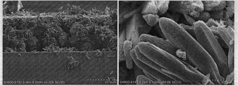 Preparation method of titanium oxide nanoflower film