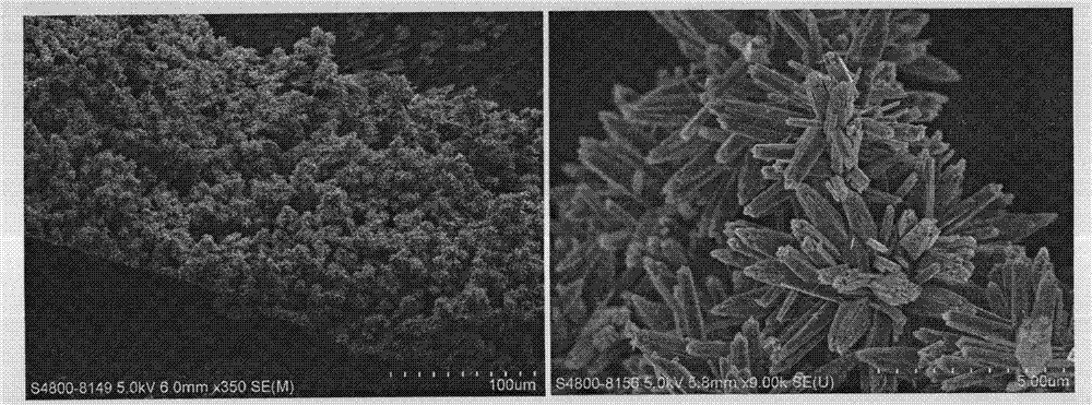 Preparation method of titanium oxide nanoflower film