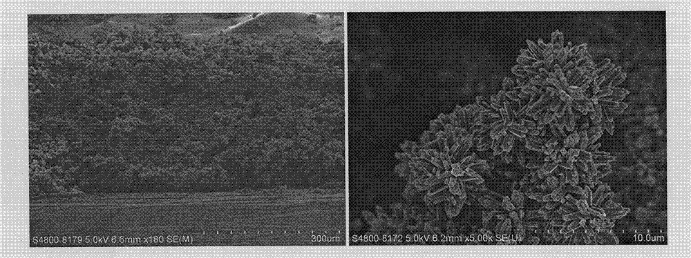 Preparation method of titanium oxide nanoflower film