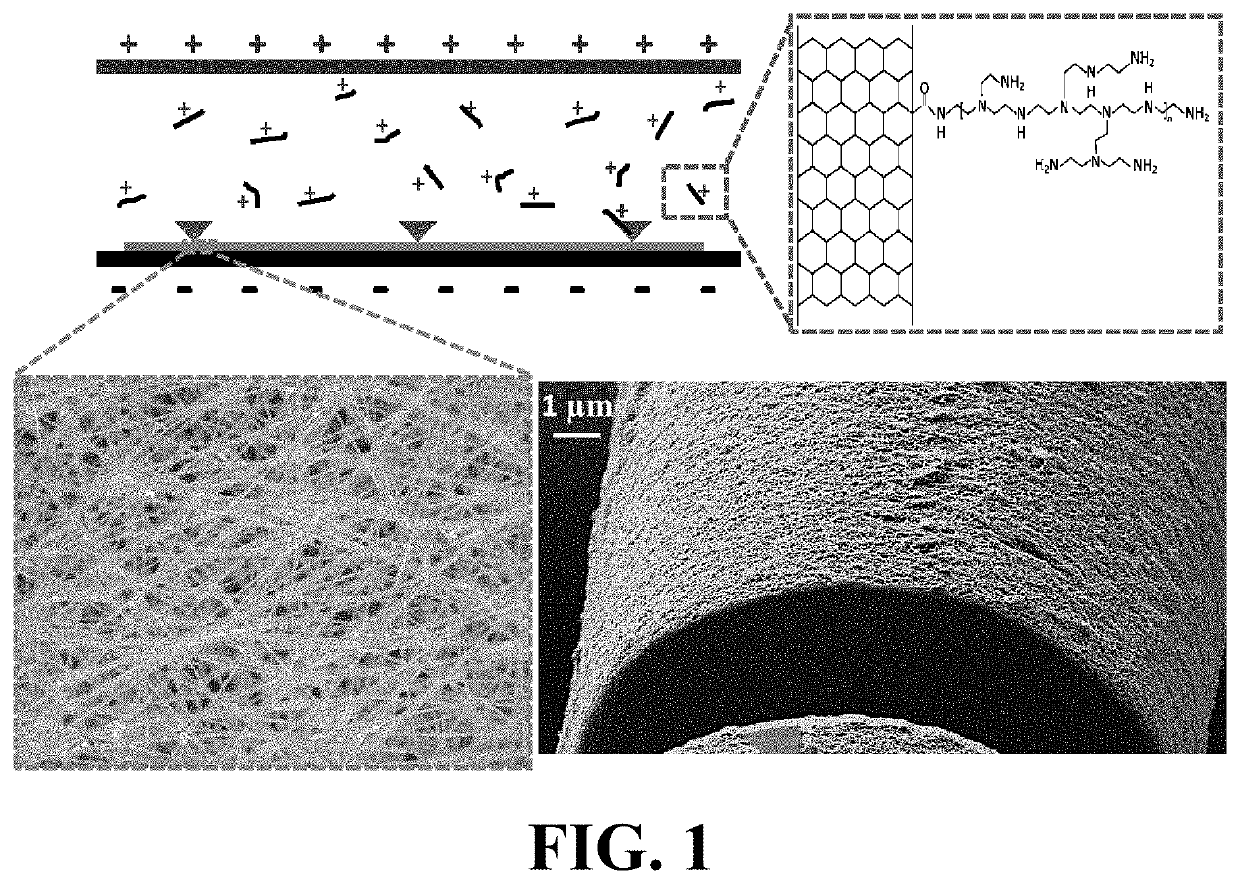 Carbon Nanocomposite Sensors