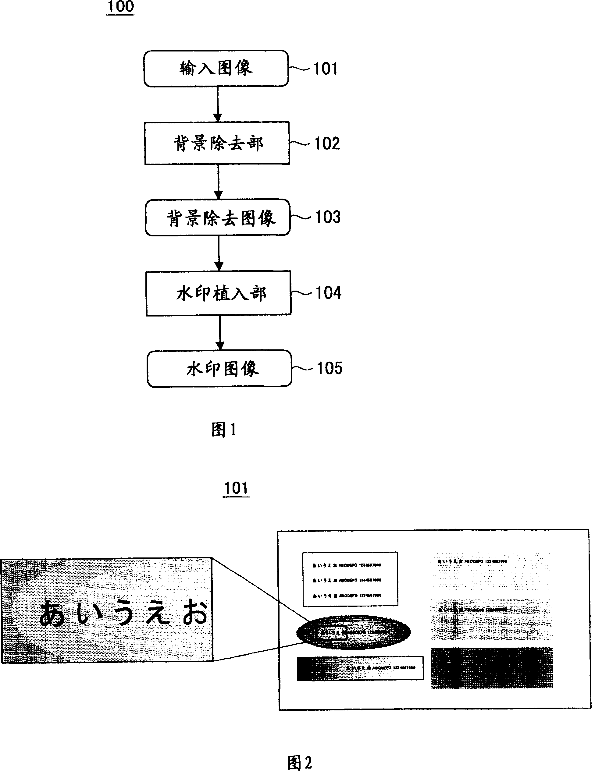 Apparatus and method for embedding electronic watermark