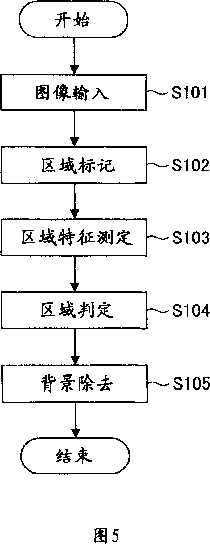 Apparatus and method for embedding electronic watermark