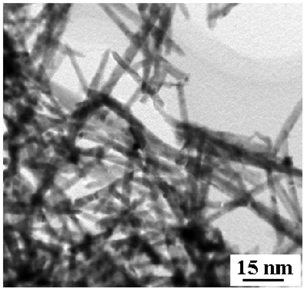 Blue fluorescence single crystal zinc telluride nanorod as well as preparation method and application thereof