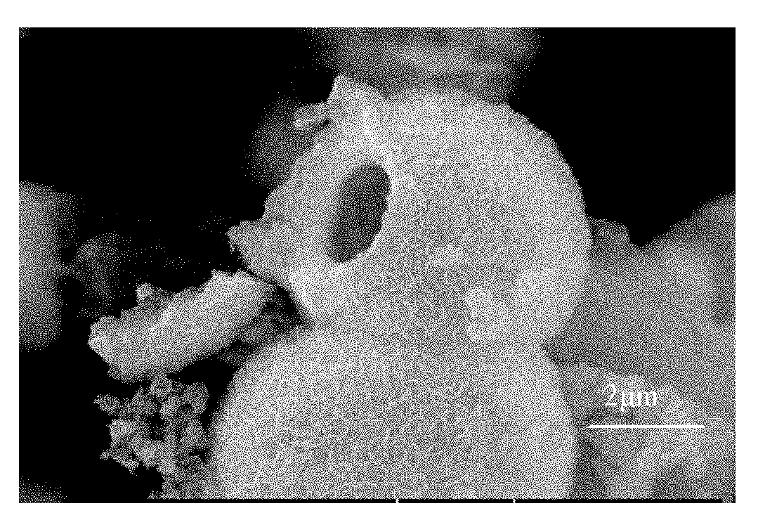 Zinc oxide hollow microspheres and preparation method thereof