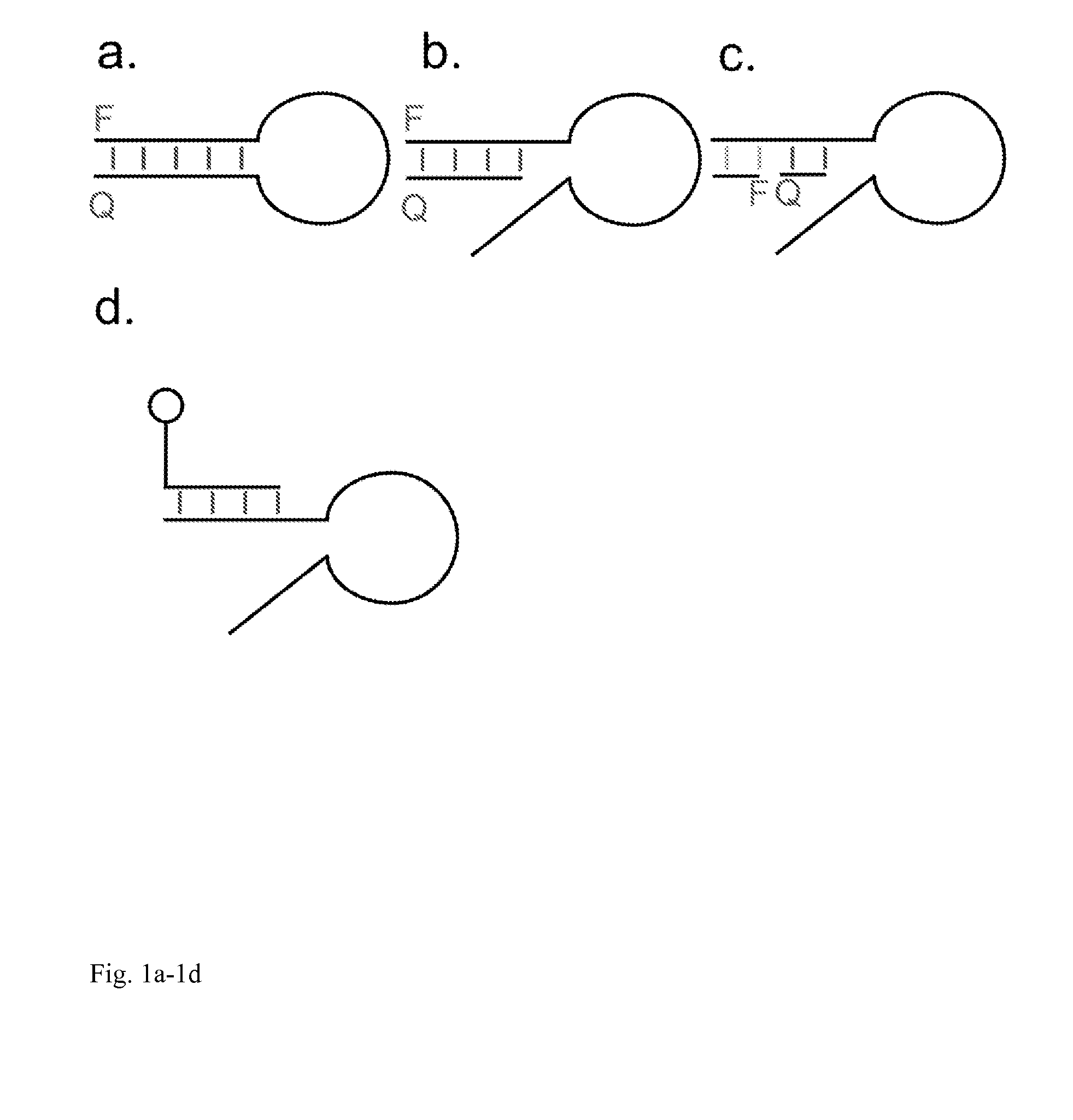 Method of rapid isolation of aptamer beacons