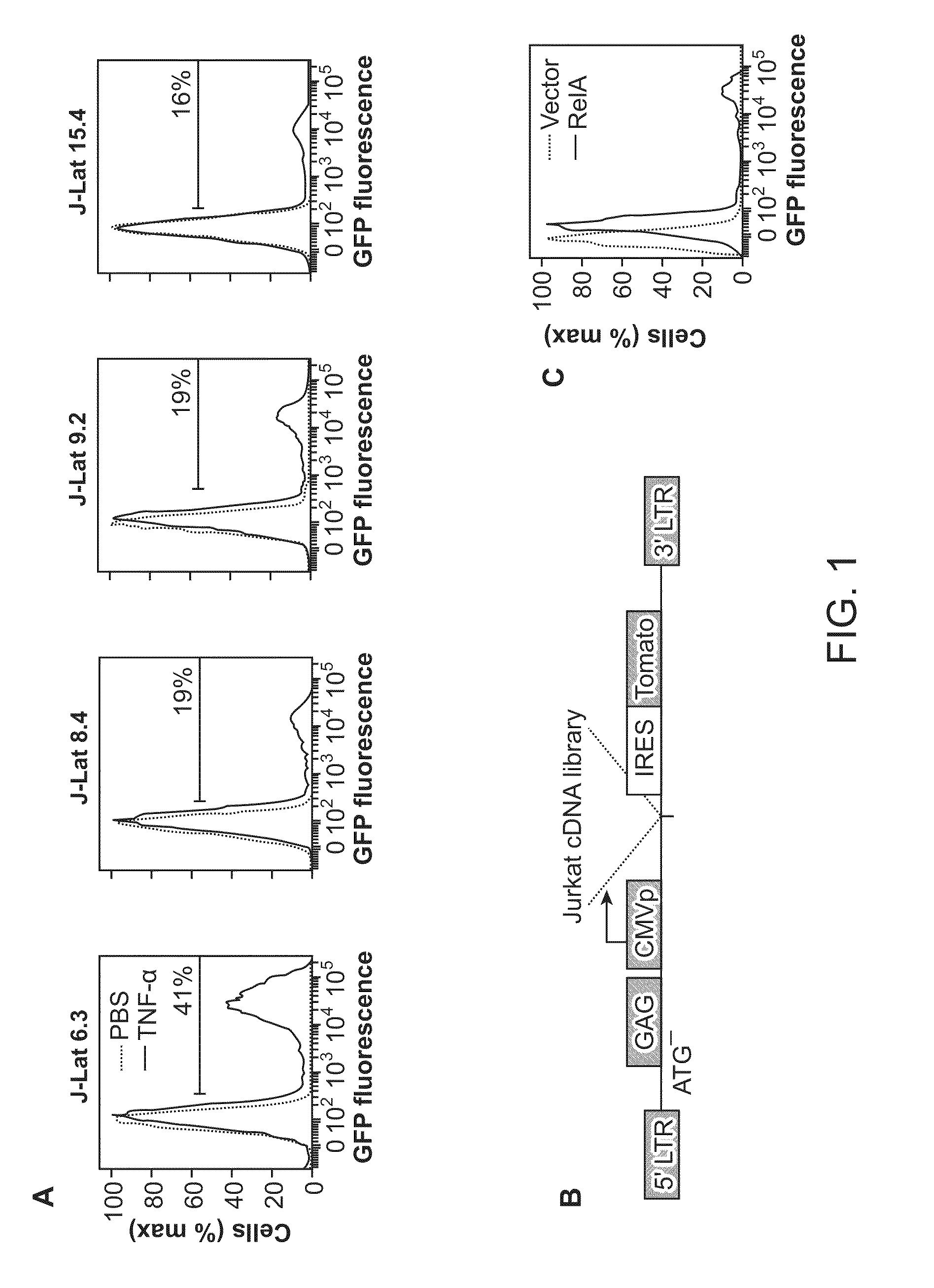 Methods of treating immunodeficiency virus infection