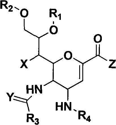 Novel sialic acid derivant, preparation method thereof, drug composite comprising the same and application thereof