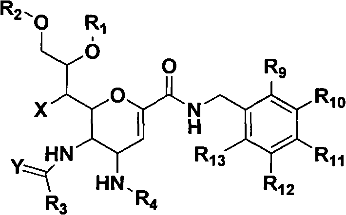 Novel sialic acid derivant, preparation method thereof, drug composite comprising the same and application thereof