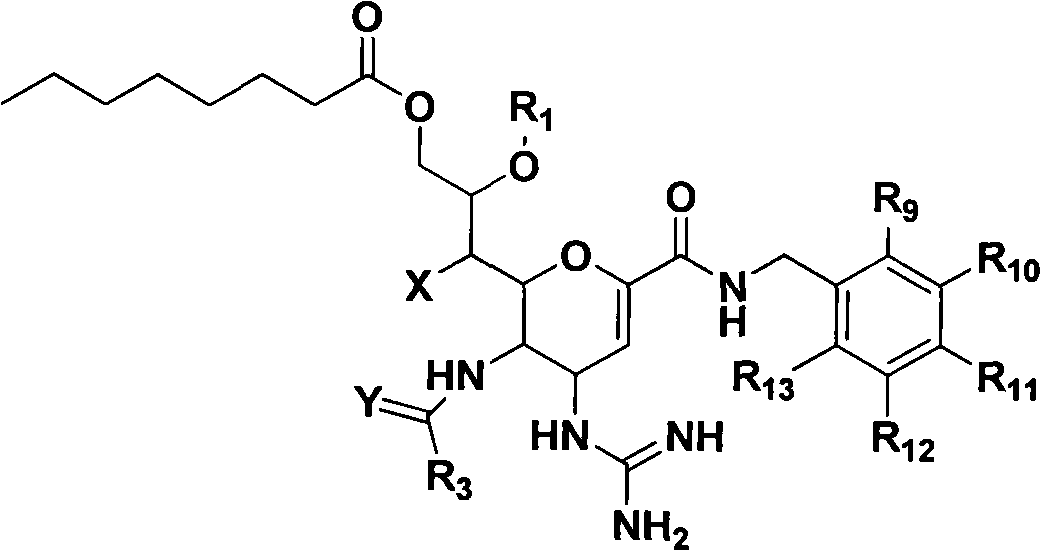 Novel sialic acid derivant, preparation method thereof, drug composite comprising the same and application thereof