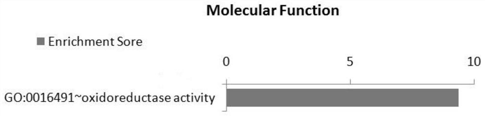 SNP loci associated with aortic dissection disease and its application