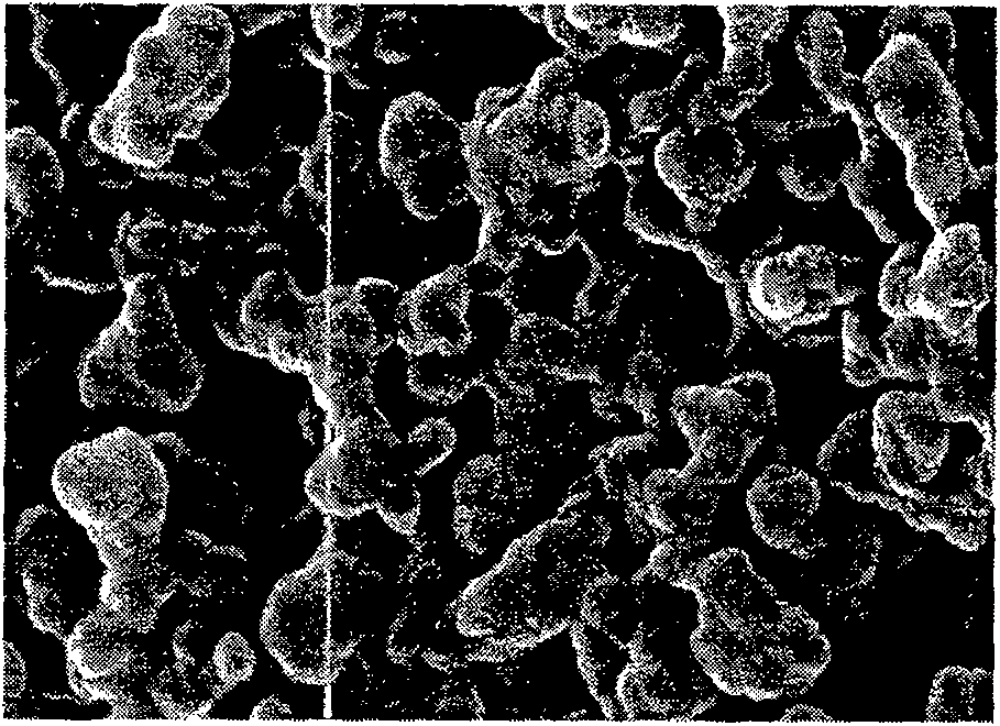 Method for preparing hydroxyapatite nano composite coat with gradient function