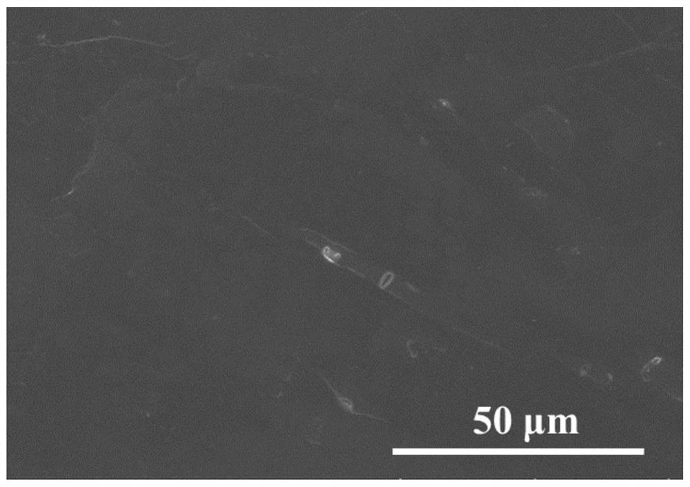 Preparation and application of lithium metal negative electrode based on aromatized nitrate free radical modification