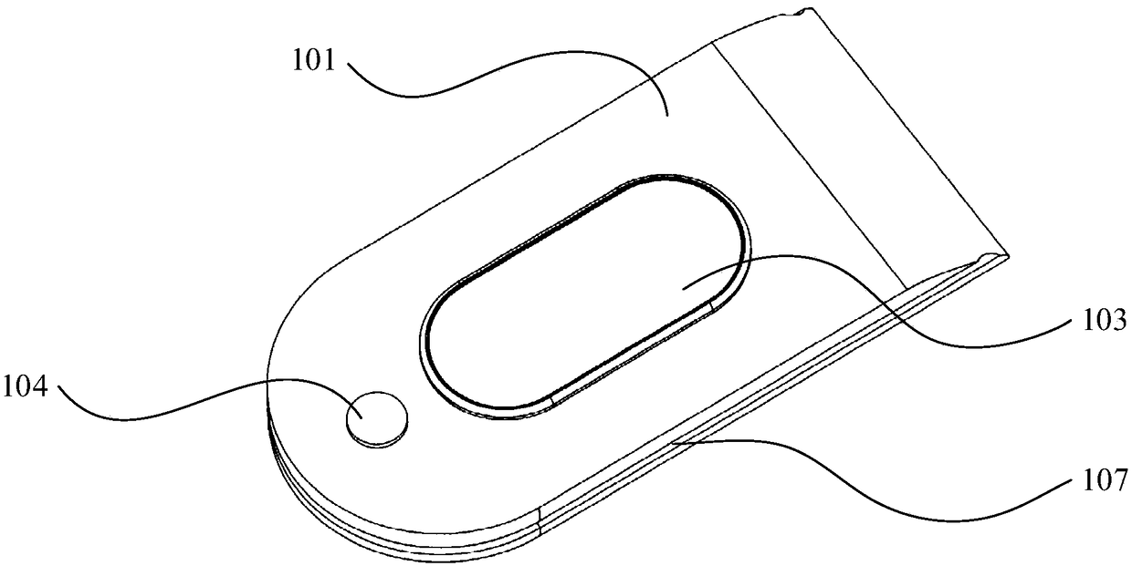 Camera, terminal, and photographing method