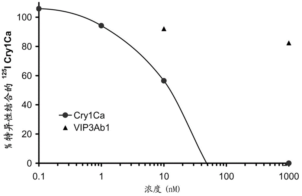 Use of vip3ab in combination with cry1ca for management of resistant insects