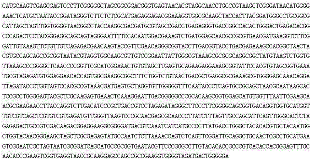 High-temperature-resistant garden waste decomposition bacterium FHM1 and application thereof