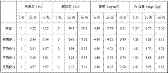 Chinese herbal medicine preservative