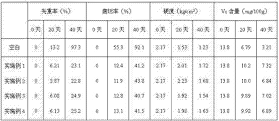 Chinese herbal medicine preservative