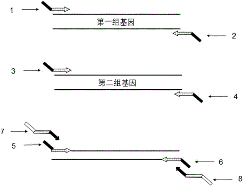 Medium-throughput gene expression analysis method based on second-generation test platform