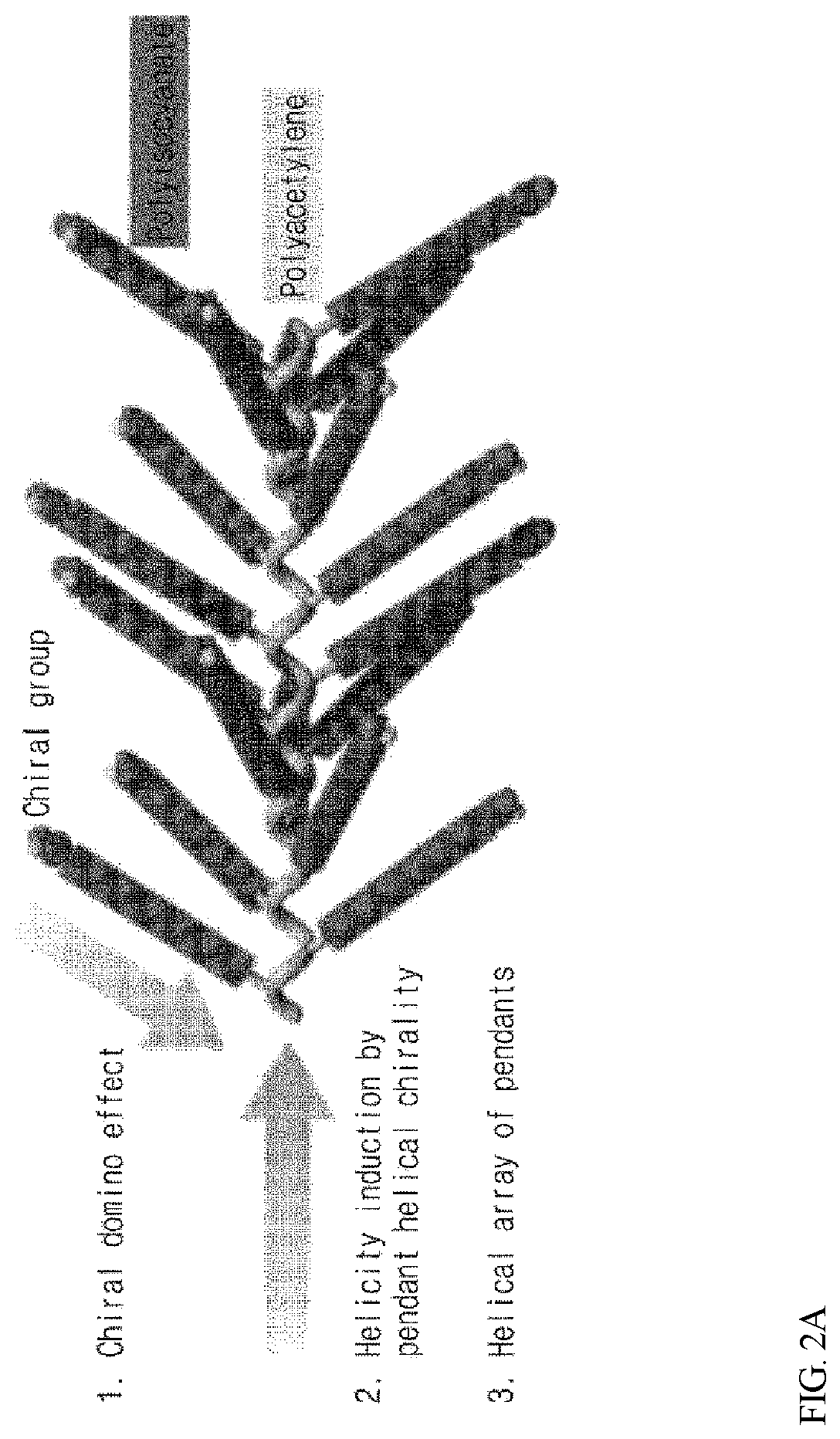 Rotary polarized light emitting body, rotary polarized light emitting device, and manufacturing method therefor