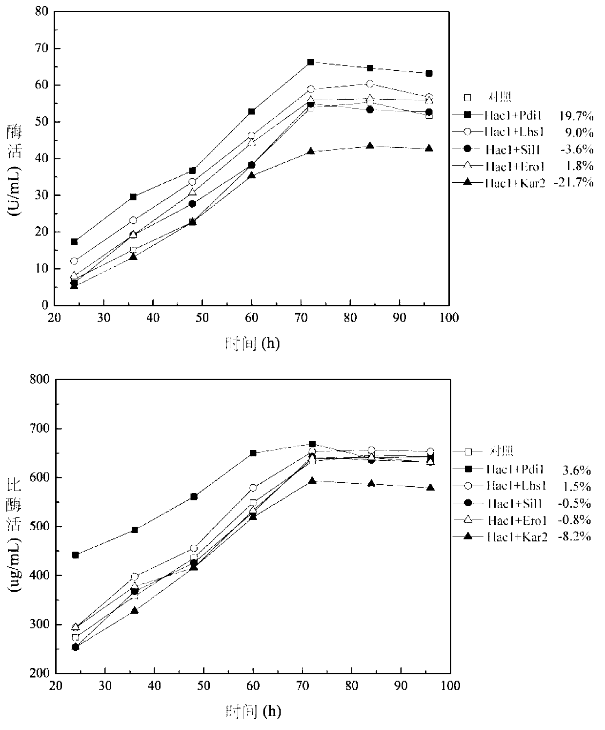 Method for enhancing secretion of glucose oxidase by coexpression of UPR (unfolded protein response) key genes and downstream target genes