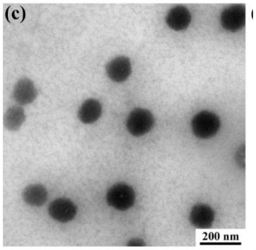 Ultrafast charge reversible chitosan-based nanogel as well as preparation method and application thereof