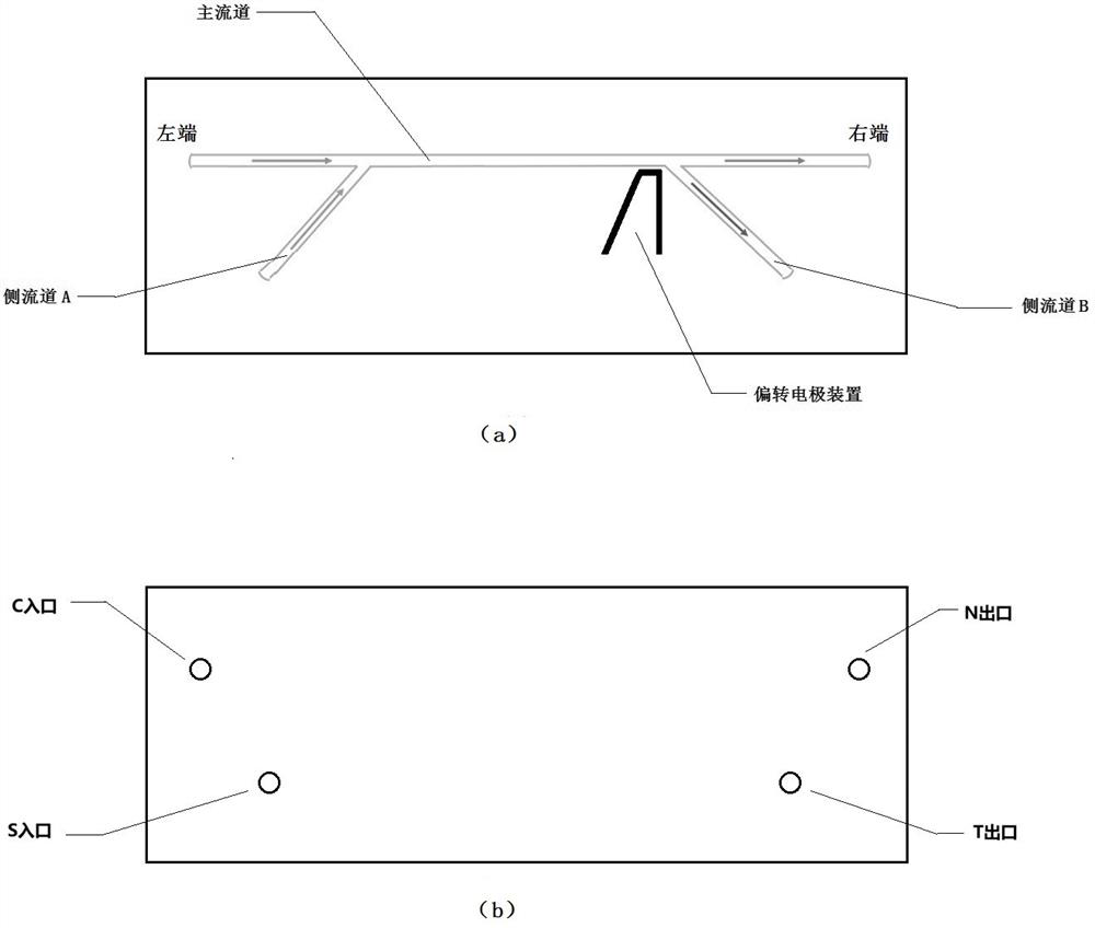 A method for isolating placental trophoblast cells from exfoliated cells of the cervix of pregnant women