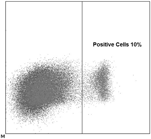 A method for isolating placental trophoblast cells from exfoliated cells of the cervix of pregnant women