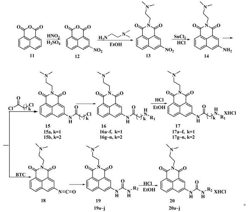 Naphthalimide derivative and preparing method and application thereof