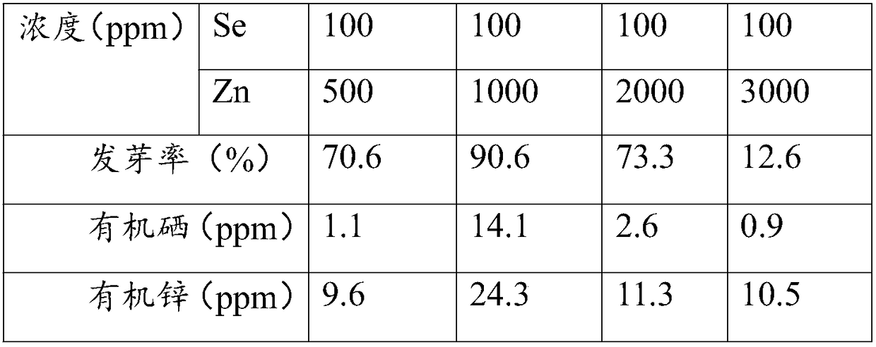 Production technology of malt powder enriched with selenium and zinc