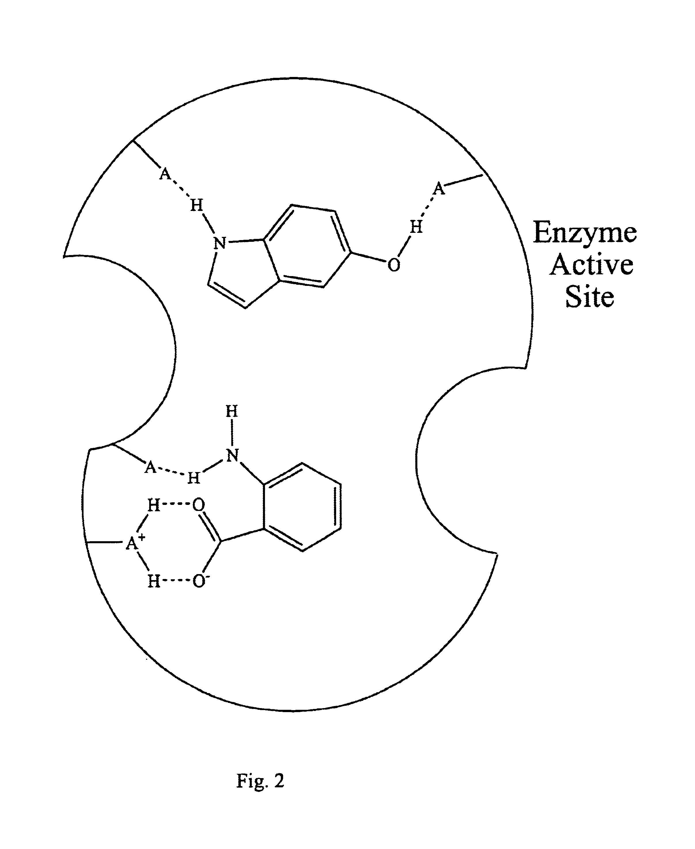 NAD synthetase inhibitors and uses thereof