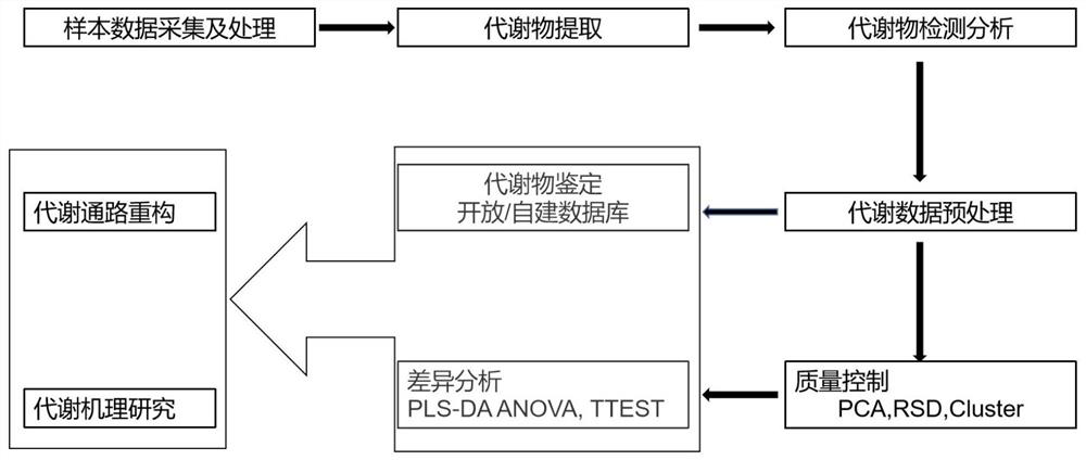 Method for screening agriophyllum squarrosum ecotype with high medicinal active ingredients based on metabolome difference