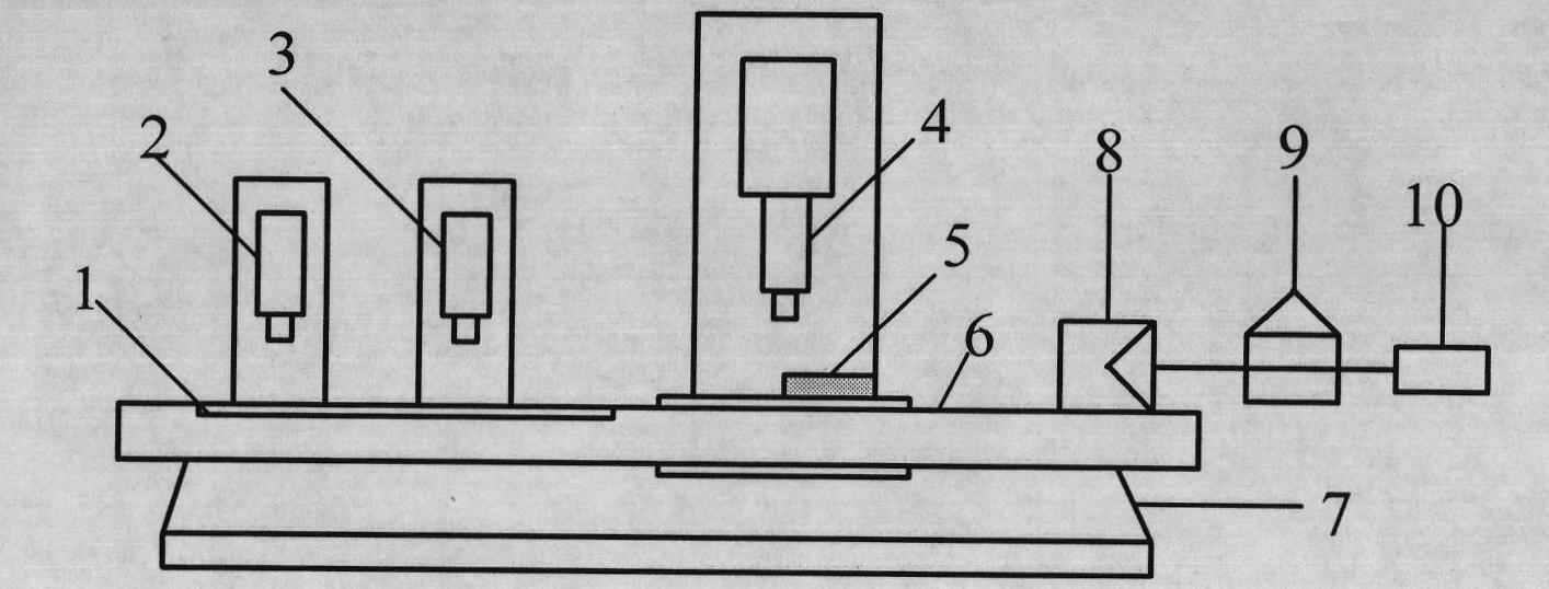 Parallel precise measuring system for measuring surface area and perimeter of tiny object