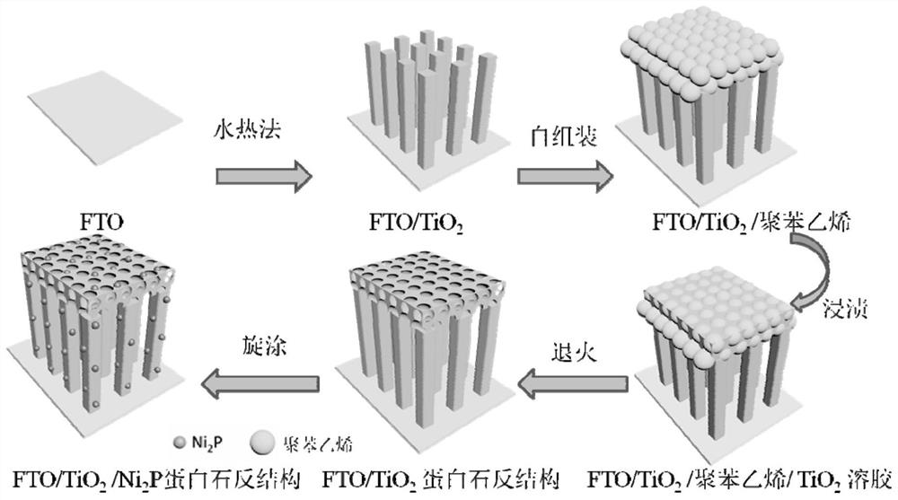 One adopts ni  <sub>2</sub> A method to enhance photocatalysis with p nanocrystals